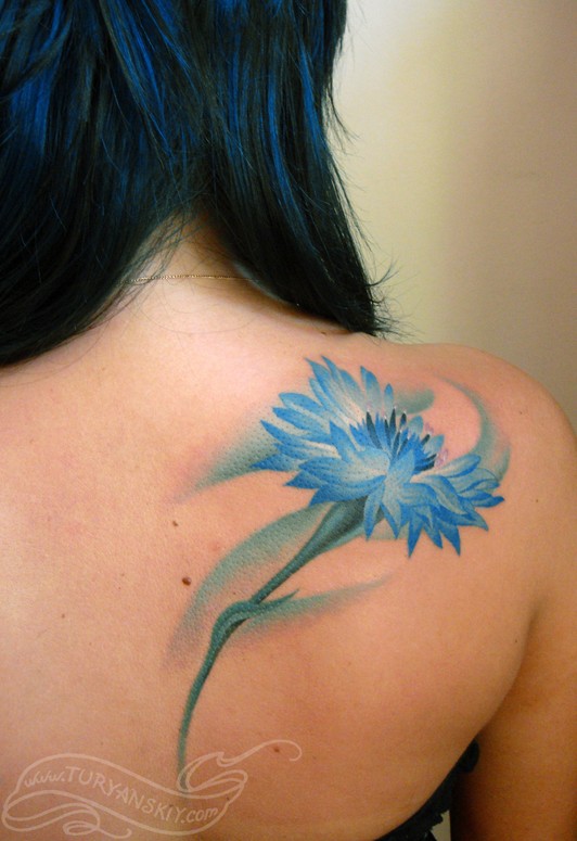 Cornflower