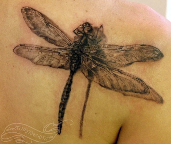 Dragonfly