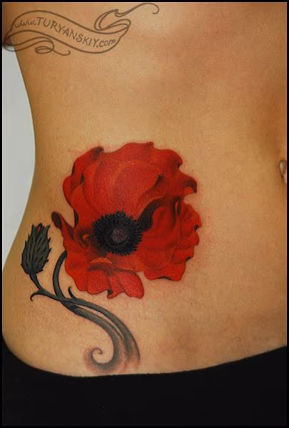 Poppy flower