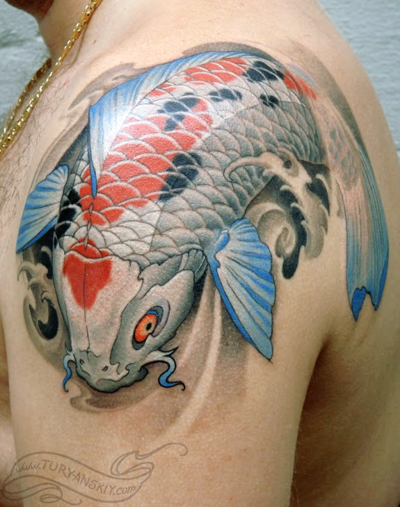 Koi fish