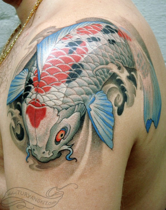 Koi fish