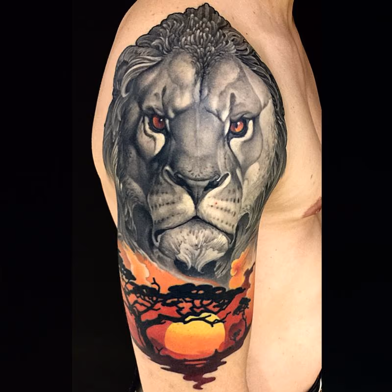 Lion and Savannah sunset
