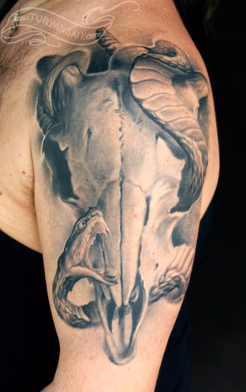Goat skull and viper snake