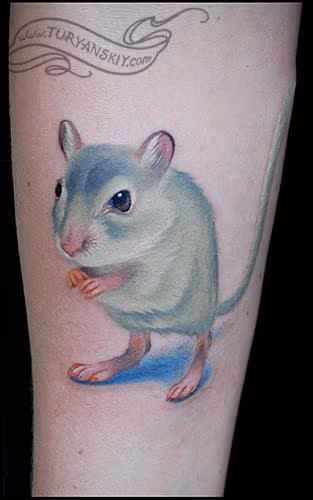 Mouse