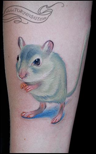 Mouse