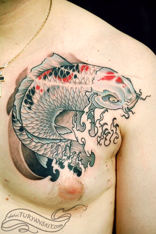 Koi fish