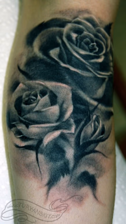 Roses