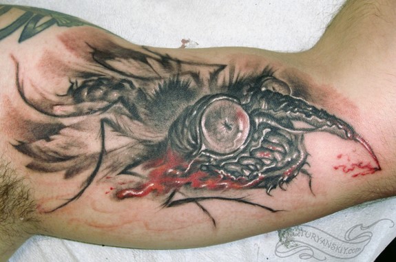 mosquito