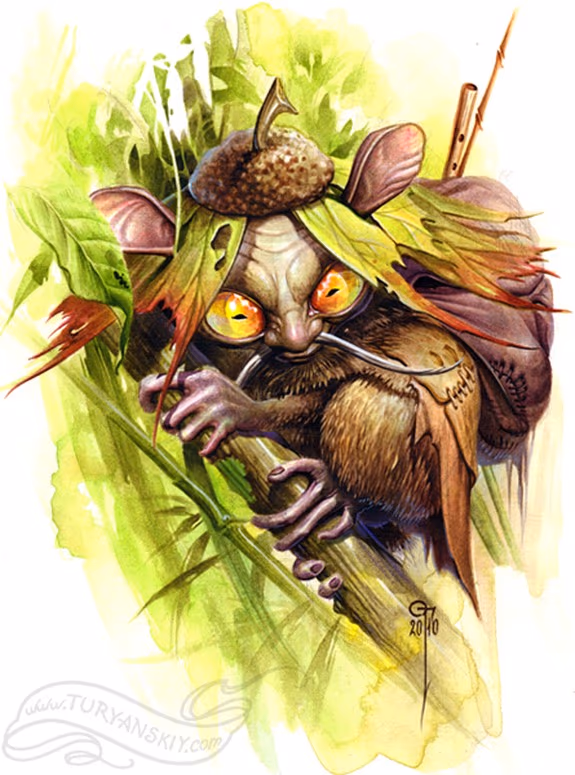 Tarsius