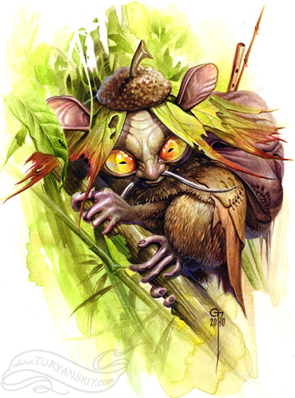 Tarsius