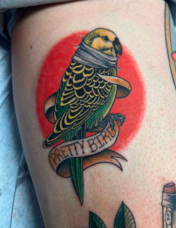Pretty bird