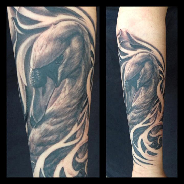 Swan