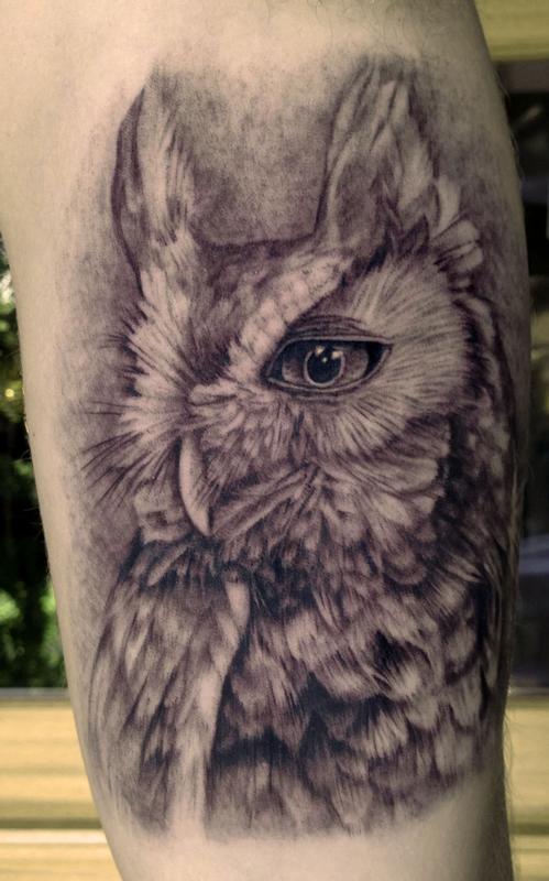 Owl Tattoo