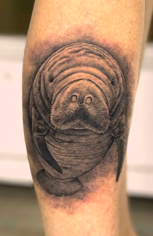 Manatee Tattoo