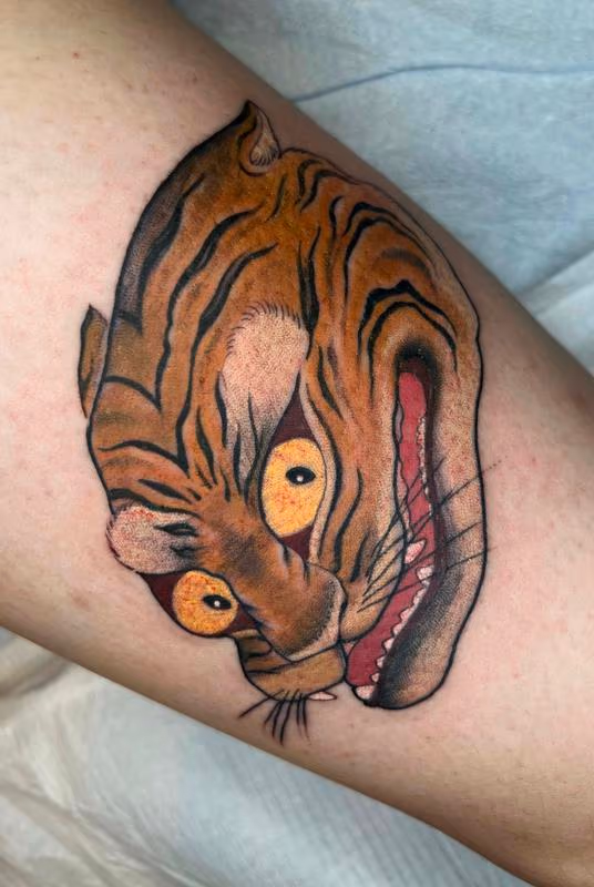 Korean Tiger