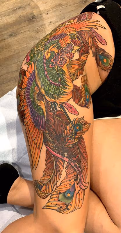 Colorful Phoenix Coverup