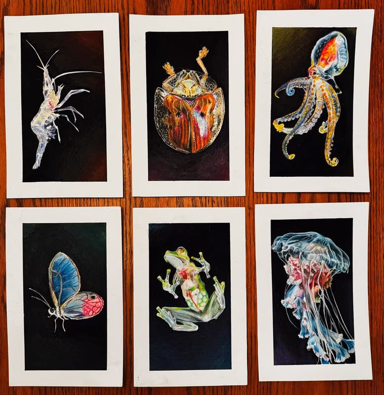 Drawings