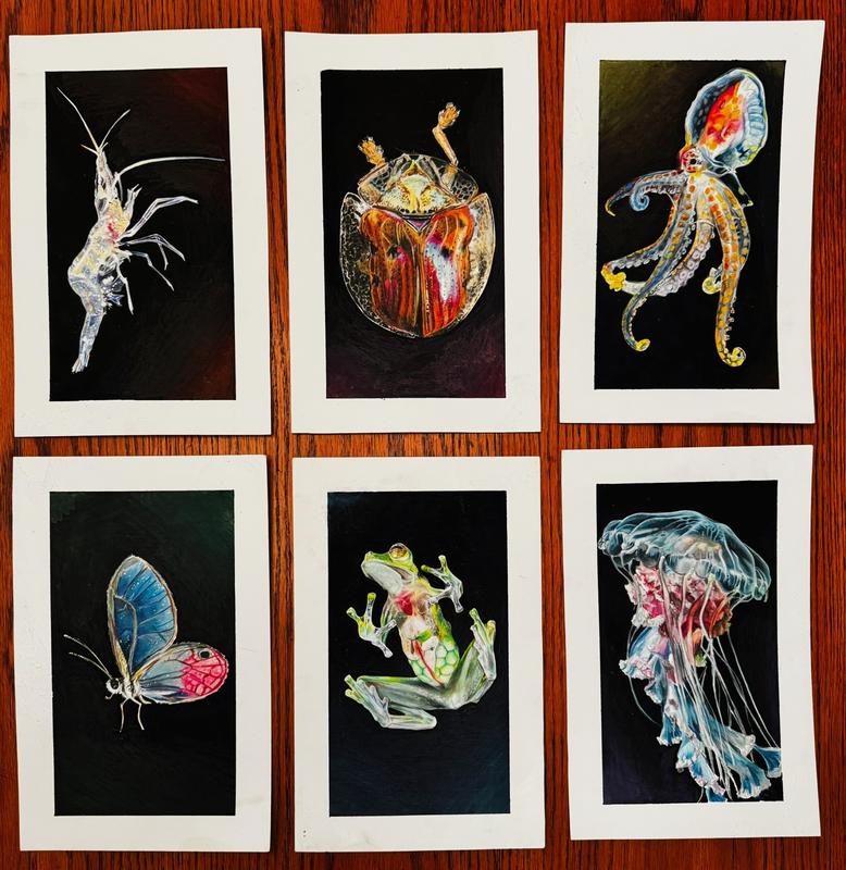 Drawings