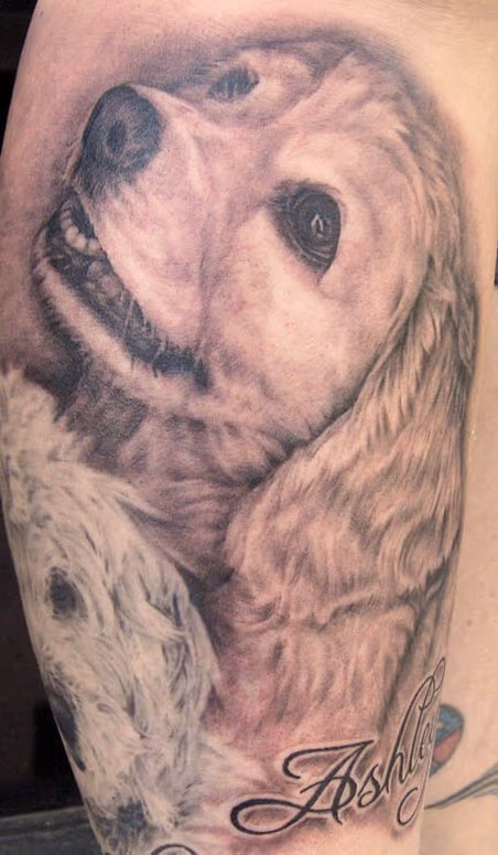 Dog Portrait