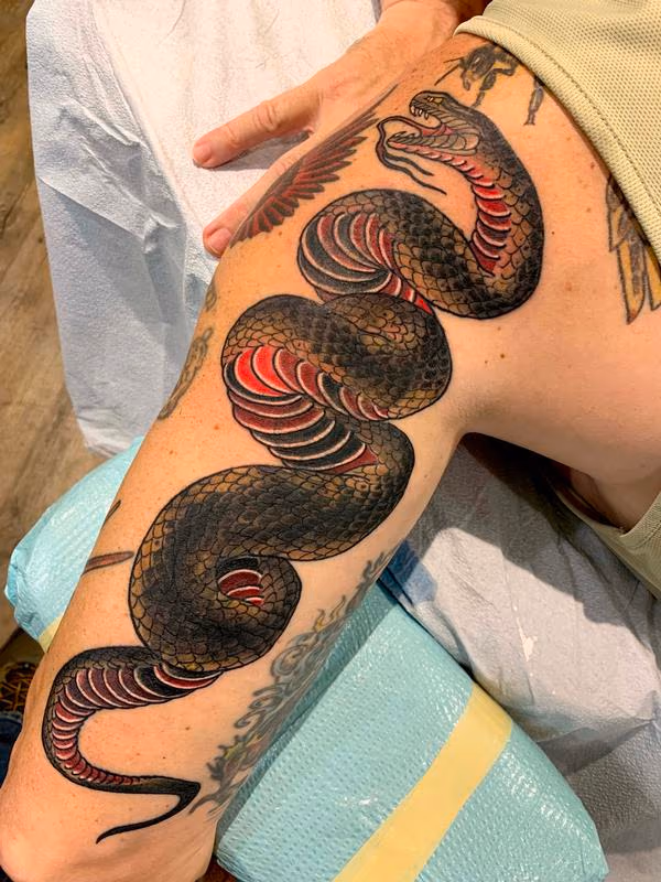 Snake Tattoo Coverup