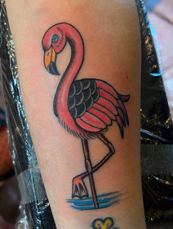 Flamingo Tattoo
