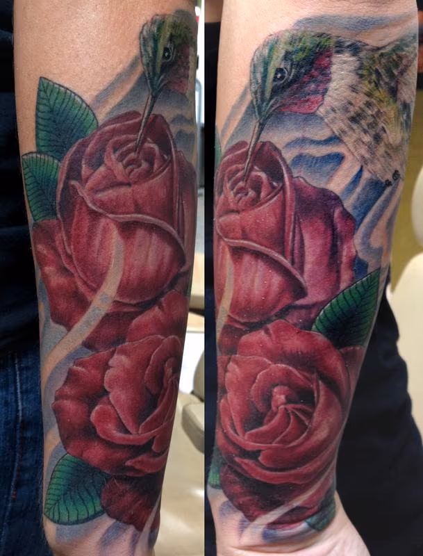 Hummingbird and Roses