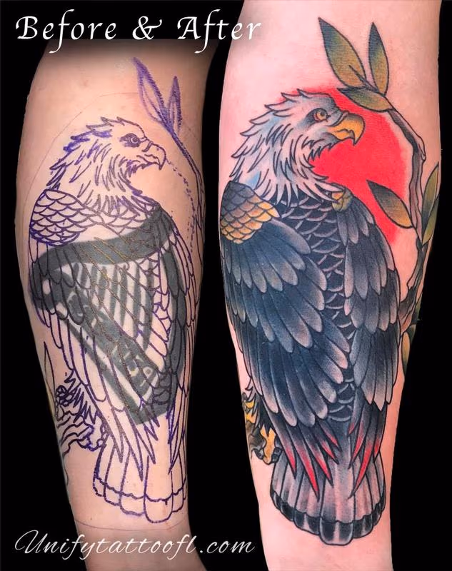 Eagle Cover-up