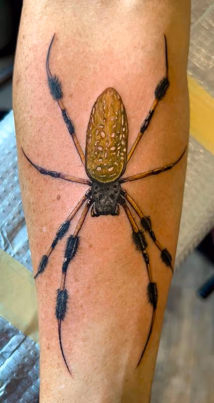 Banana Spider Tattoo