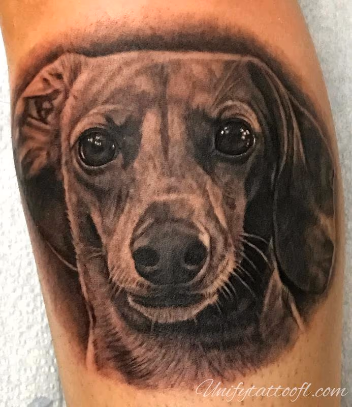 Dachshund Portrait