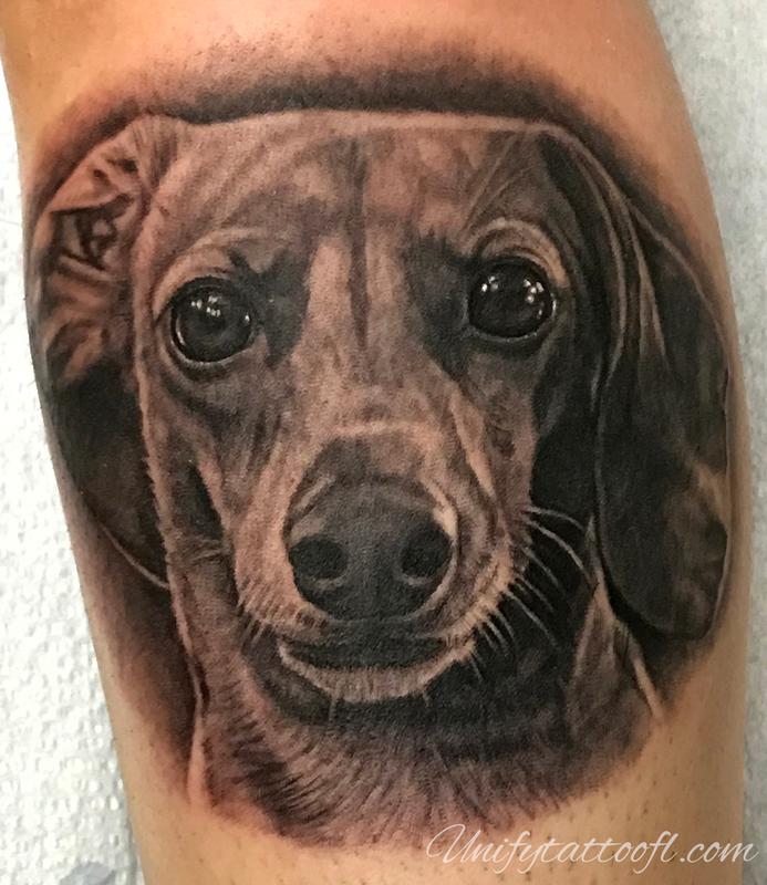 Dachshund Portrait