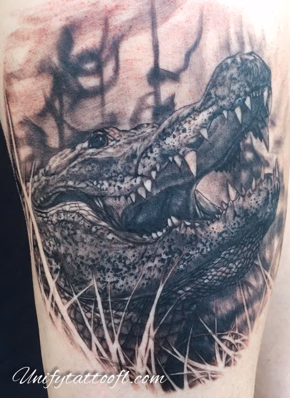 Gator
