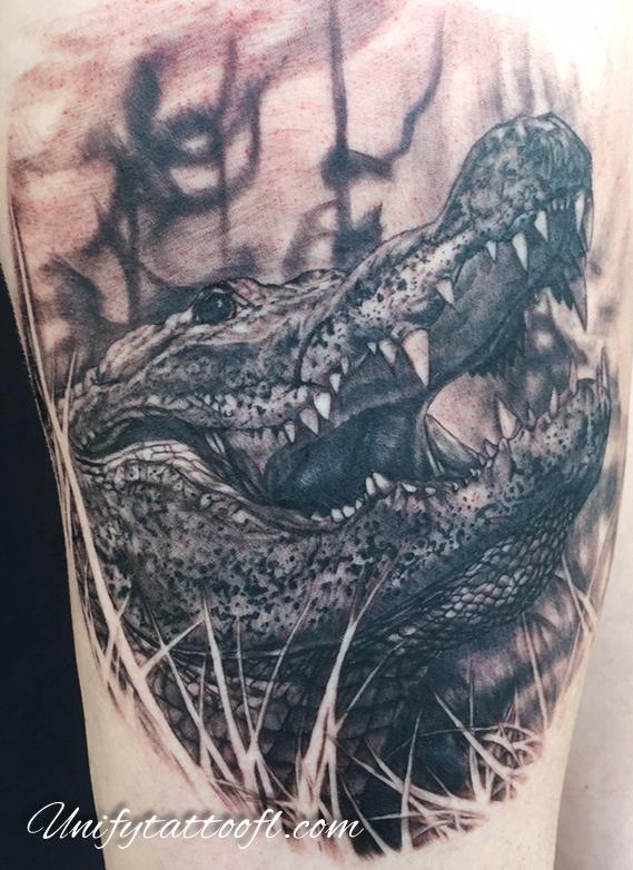 Gator