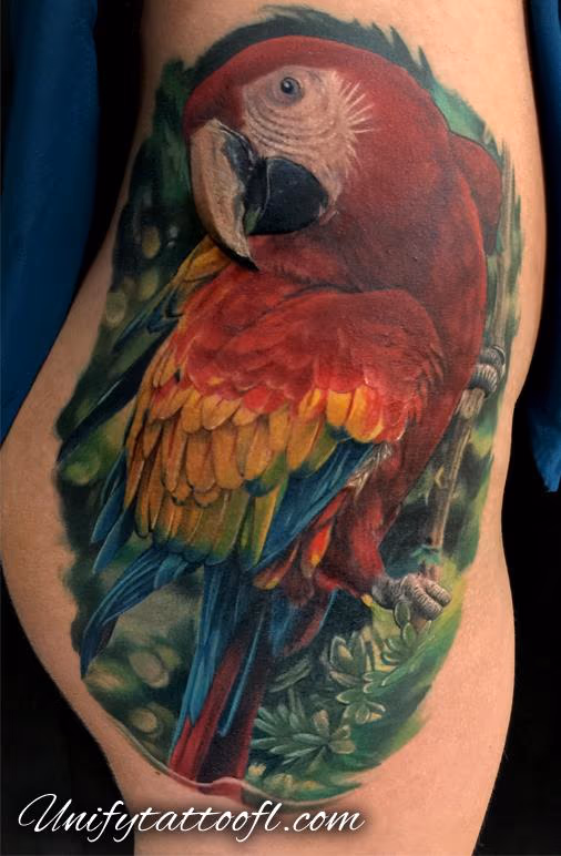 Parrot