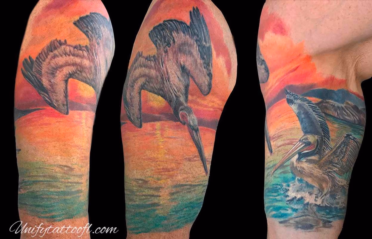 Pelicans