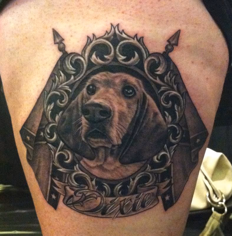Basset Hound Portrait