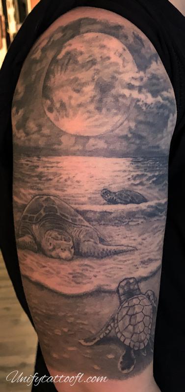 Turtles at night