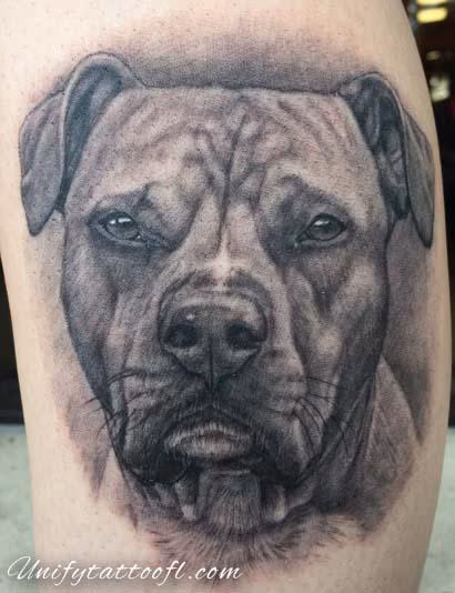 Dog Portrait