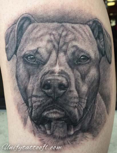Dog Portrait