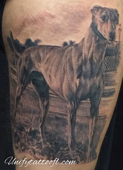 Greyhound Tattoo