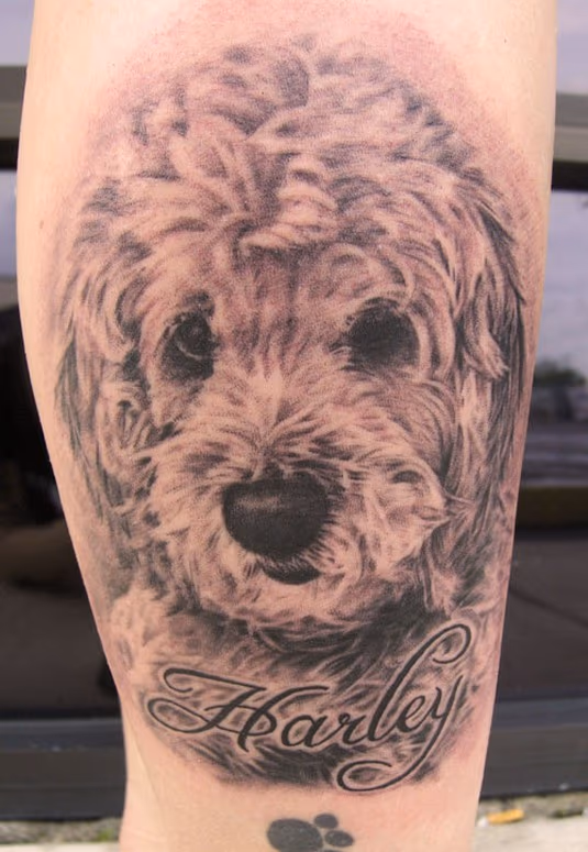 Dog Portrait