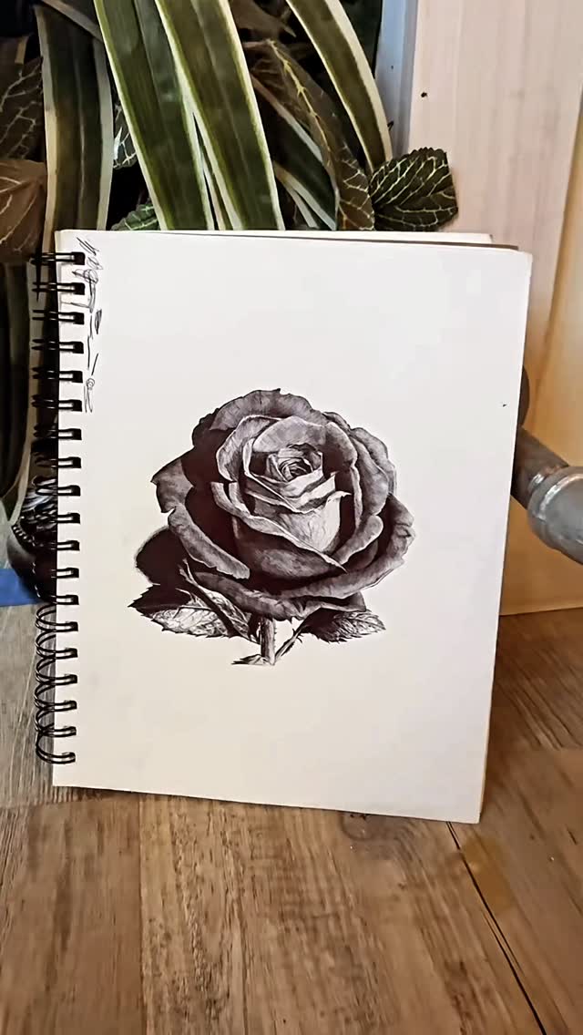 Black-and-grey rose drawing in ballpoint pen