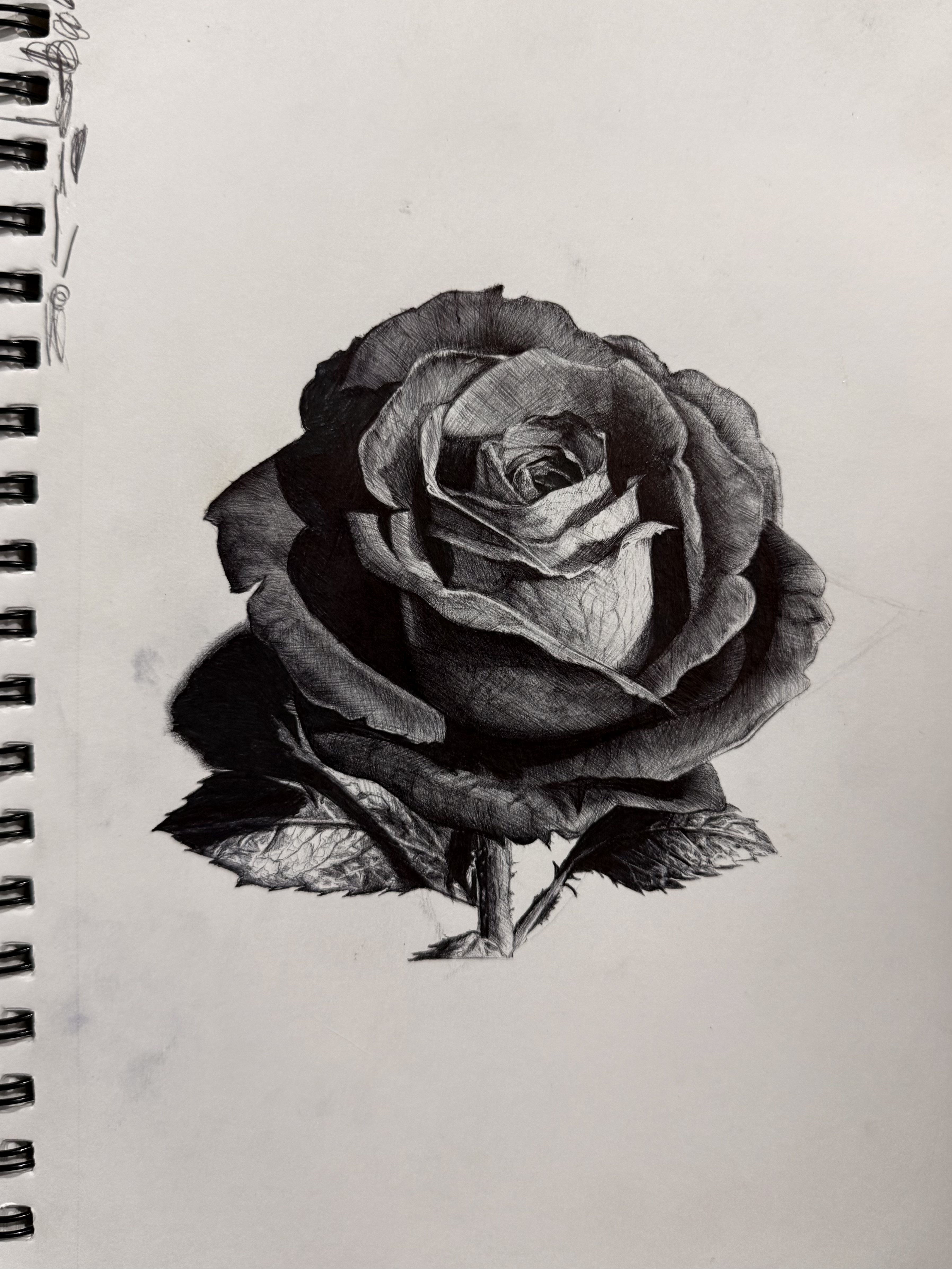 Ball Point Pen Rose Freehand