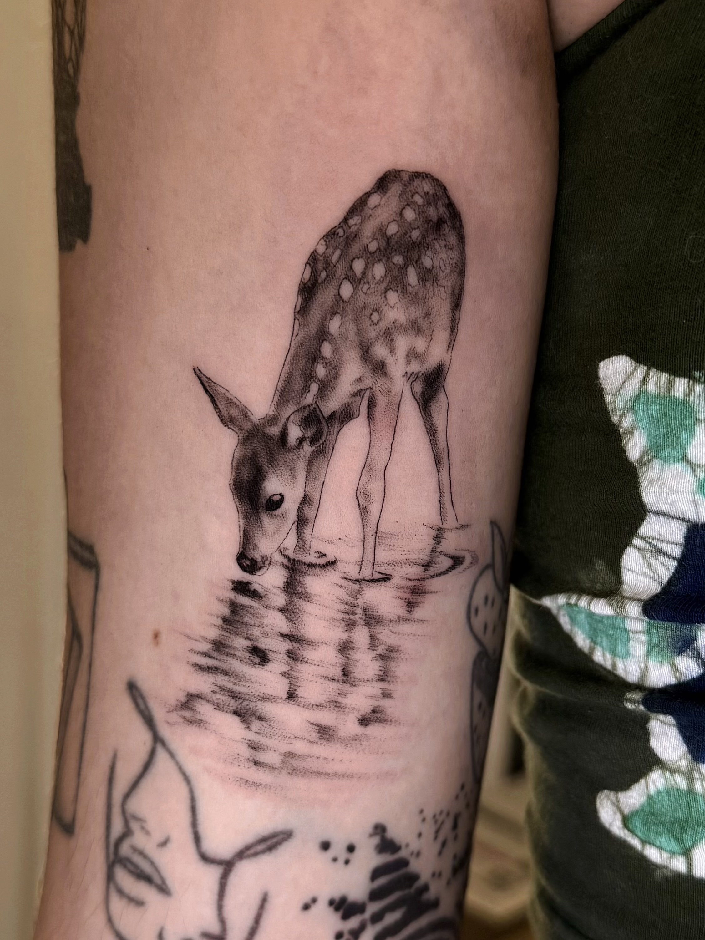 Fawn Microrealism 