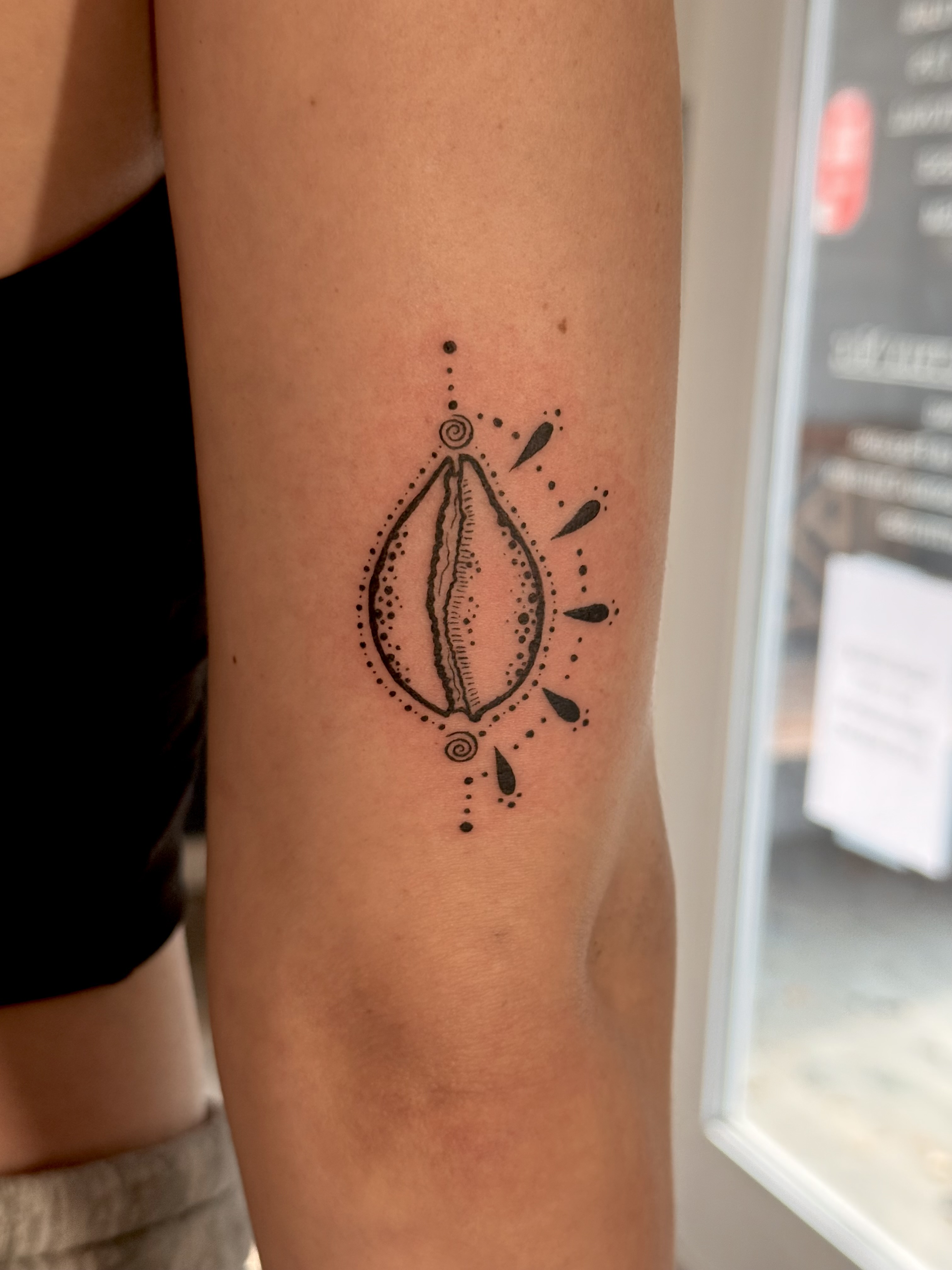 Pūka Shell Ornamental Flash