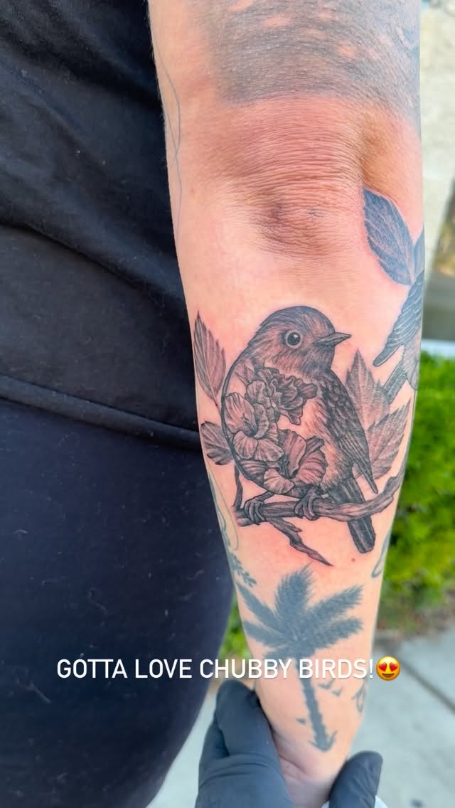 Who doesn’t love chubby little birds