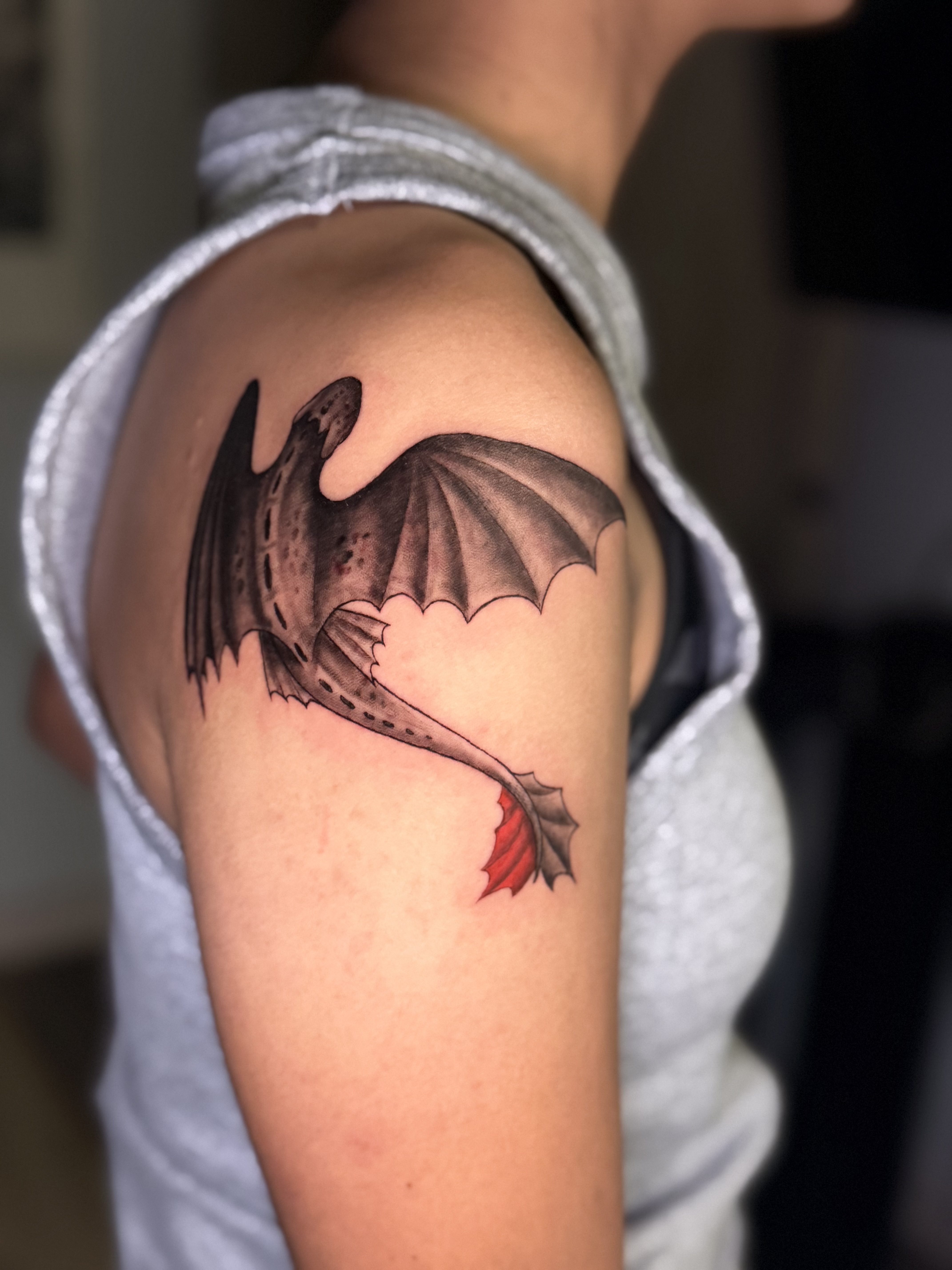 Toothless Dragon 