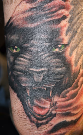 dave owls panther