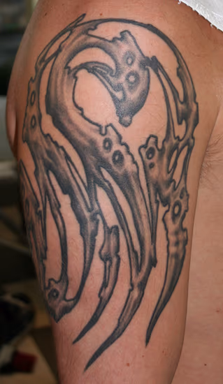 jays arm