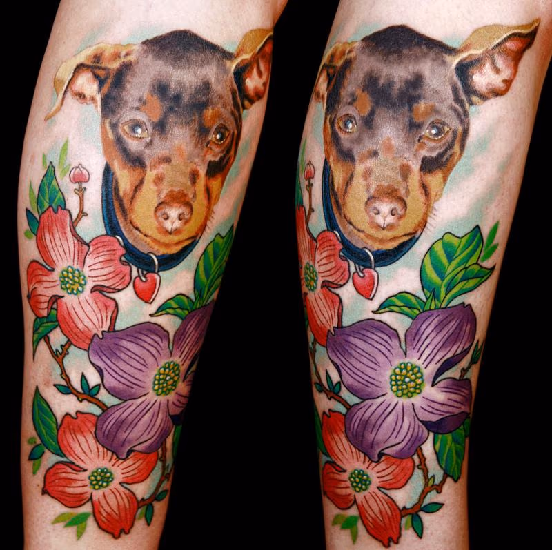 dog portrait