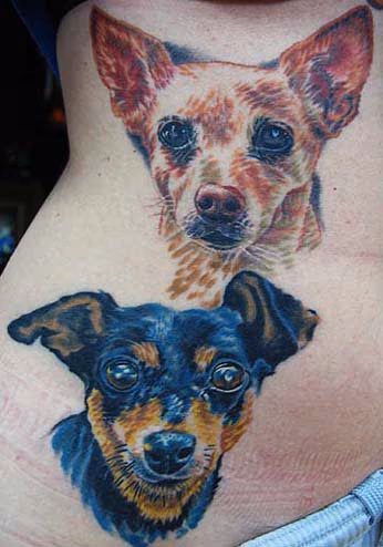 Dog Portraits